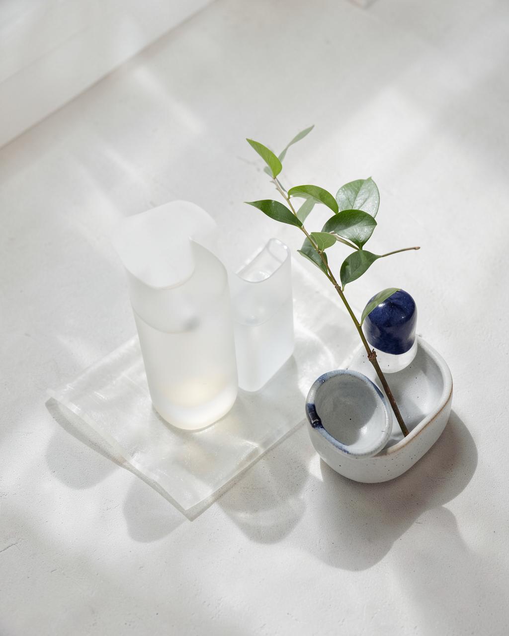 Minimal skincare vessels with a botanical stem in natural light